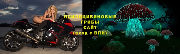 хмурый Алексеевка