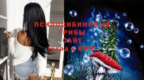 прущая мука Алзамай