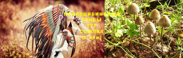 дурь Абинск